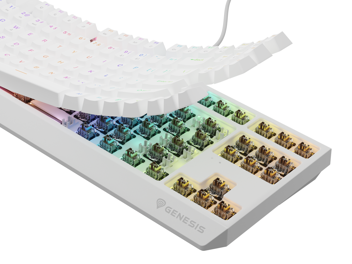 Genesis | THOR 230 | Mechanical Gaming Keyboard | Wired | US | Outemu Brown | White