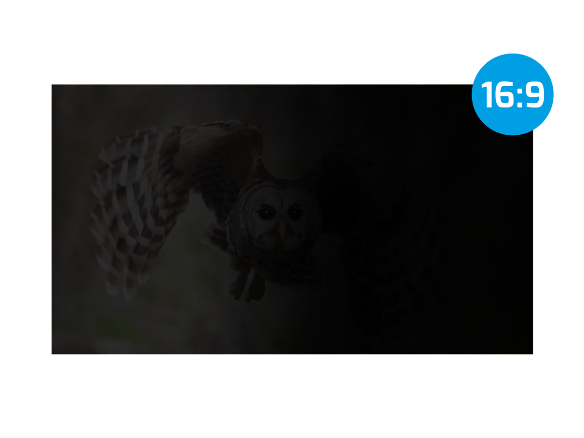 NATEC privacy filter Owl 13.3inch 16:9