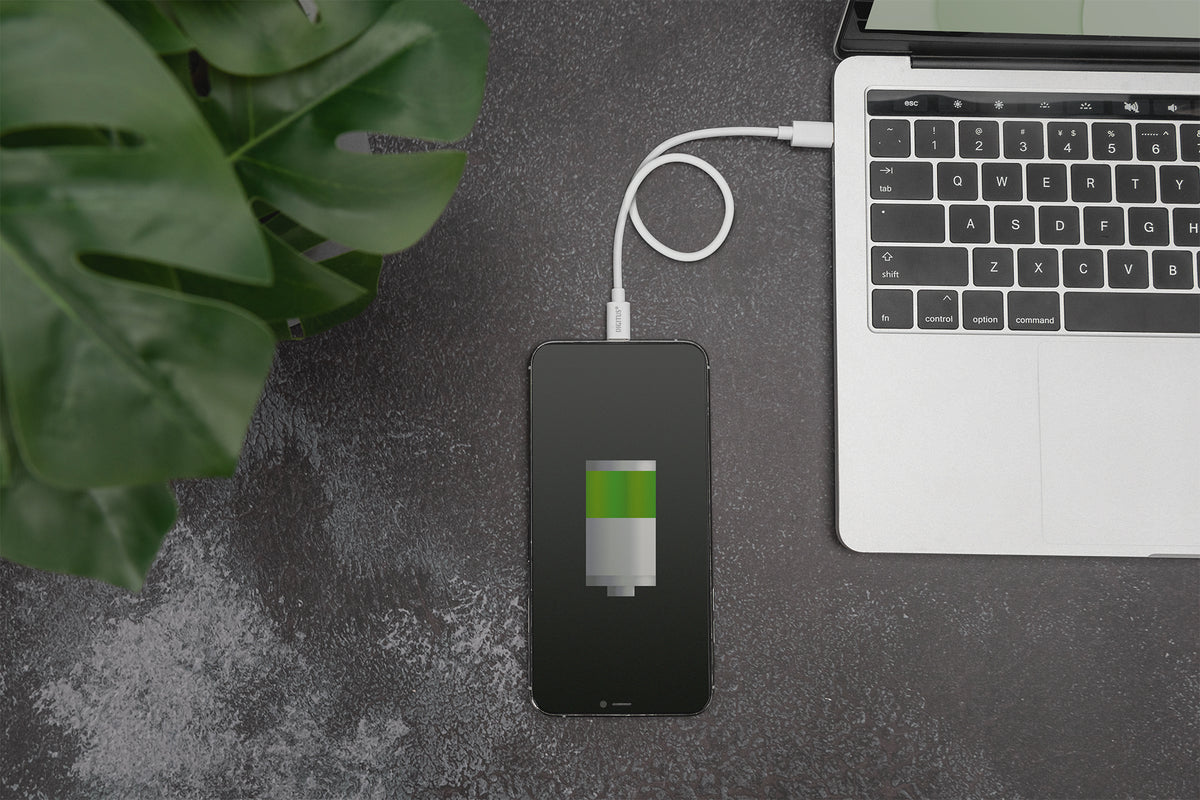 Digitus | Lightning to USB-C data/charging cable | DB-600109-020-W | USB-C to Lightning Apple Lightning 8-pin | USB C