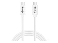 SANDBERG USB-C>C USB 3.1 G2 100W 1M