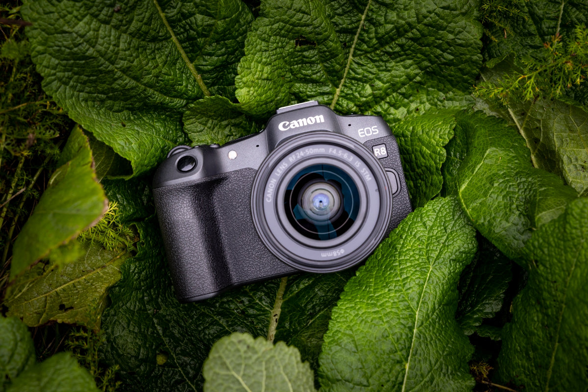 Canon | EOS R8 Body + RF 24-50mm F4.5-6.3 IS STM (AIP) | Megapixel 24.2 MP | Image stabilizer | ISO sensitivity (max) 102400 | Display diagonal 3 " | Wi-Fi | Video recording | Automatic, manual | CMOS