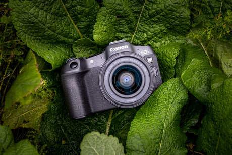 Canon | EOS R8 Body + RF 24-50mm F4.5-6.3 IS STM (AIP) | Megapixel 24.2 MP | Image stabilizer | ISO sensitivity (max) 102400 | Display diagonal 3 " | Wi-Fi | Video recording | Automatic, manual | CMOS