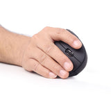 Gembird | MUSW-ERGO-01 | Optical Mouse | 2.4GHz Wireless Optical Mouse | USB | Black