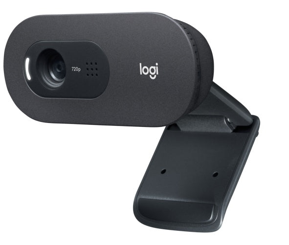 Logitech C505e HD Business Internetinė kamera, Graphite