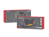 Genesis | THOR 230 | Mechanical Gaming Keyboard | Wired | US | Outemu Red | Anchor Gray Positive
