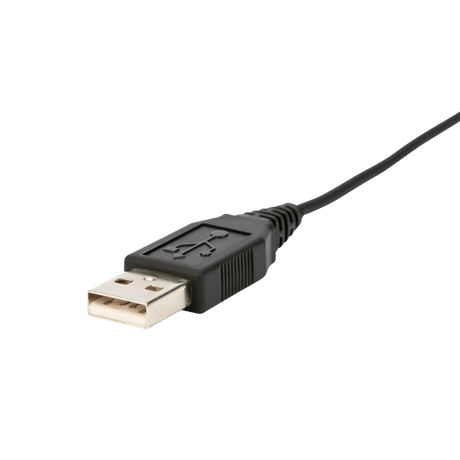 Ausinės su mikrofonu Jabra Evolve 40 MS Stereo