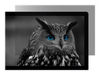 NATEC Privacy Filter Owl 27inch 16:9