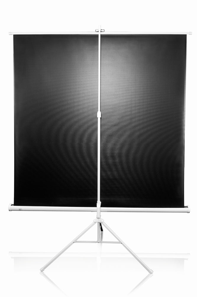 Elite Screens | Tripod Series | T113NWS1 | Diagonal 113 " | 1:1 | Viewable screen width (W) 203 cm | White