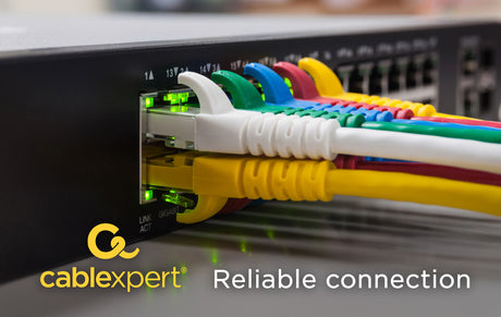 Cablexpert | PP12-2M | Beige RJ-45 | RJ-45