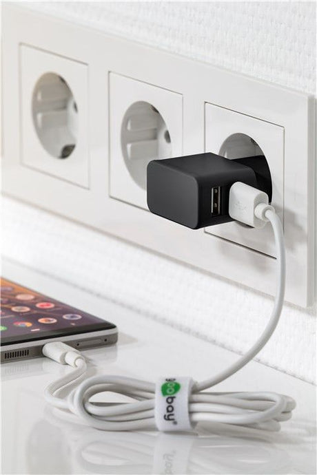 Goobay | 2.4 A | Dual USB charger | 44951