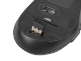 Natec | Keyboard and Mouse | Stringray 2in1 Bundle | Keyboard and Mouse Set | Wireless | Batteries included | US | Black | Wireless connection