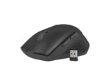 Natec | Keyboard and Mouse | Stringray 2in1 Bundle | Keyboard and Mouse Set | Wireless | Batteries included | US | Black | Wireless connection
