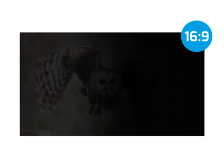 NATEC privacy filter Owl 13.3inch 16:9