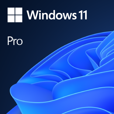 Microsoft | Windows 11 Pro | FQC-10528 | English | OEI | DSP | 64-bit