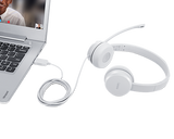 Lenovo | USB Headset | 110 Stereo | Yes | USB Type-A