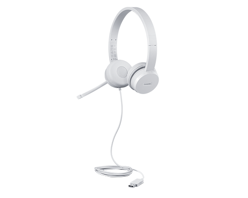 Lenovo | USB Headset | 110 Stereo | Yes | USB Type-A