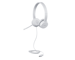 Lenovo | USB Headset | 110 Stereo | Yes | USB Type-A
