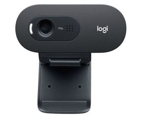 Logitech C505 HD Internetinė kamera HD 1280x720, USB, Graphite