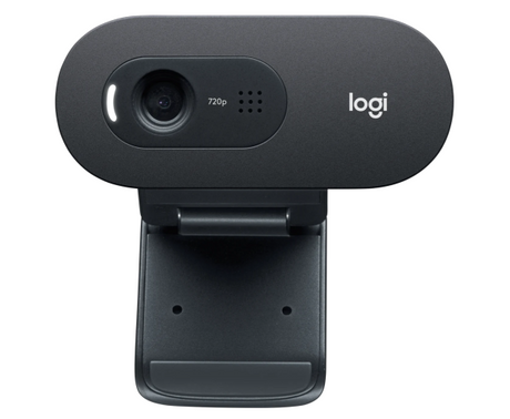 Logitech C505 HD Internetinė kamera HD 1280x720, USB, Graphite