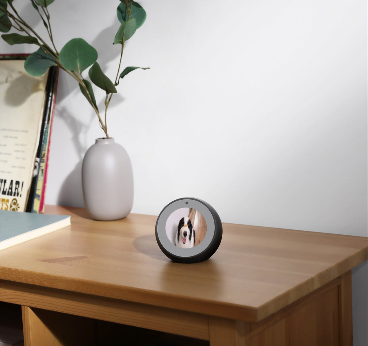 Anker Eufy | Security Indoor Camera | Cam 2K Pan & Tilt | Tabletop/Ceiling-Mounted | H.265, H.264 | SD card, Max 128GB