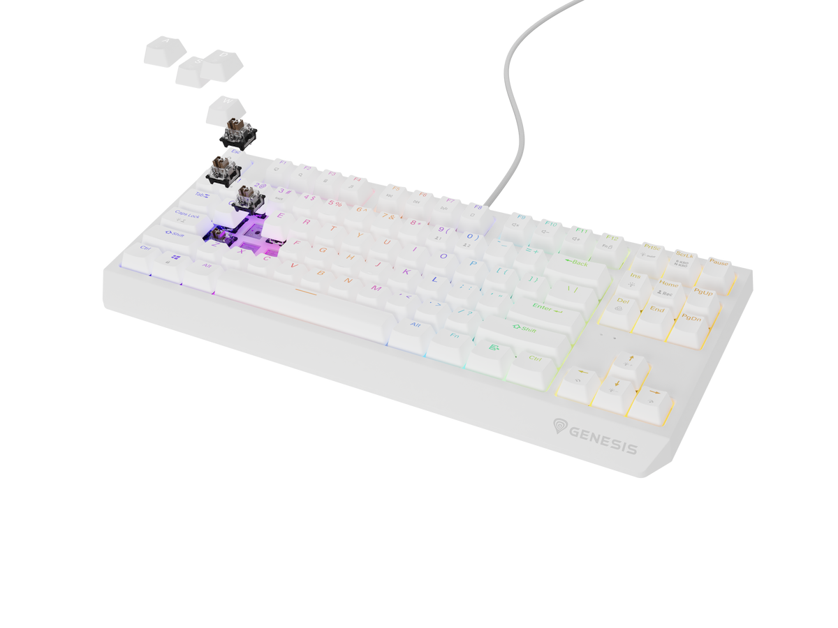Genesis | THOR 230 | Mechanical Gaming Keyboard | Wired | US | Outemu Brown | White