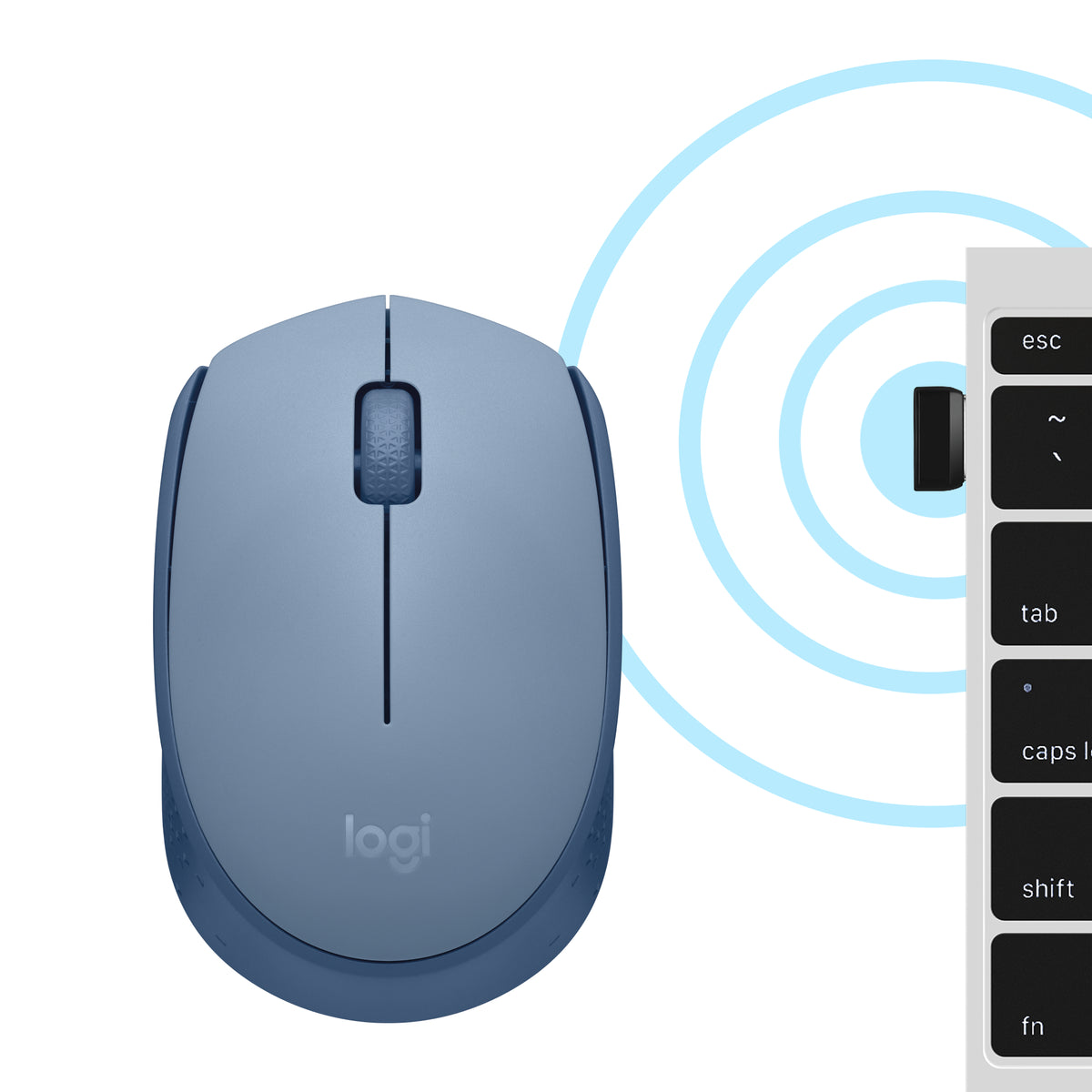 Logitech M171 Belaidė pelė RF Wireless, 1000 DPI, Blue Gray