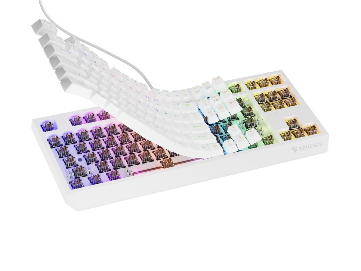 Genesis | THOR 230 | Mechanical Gaming Keyboard | Wired | US | Outemu Brown | White
