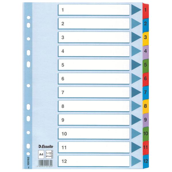 Skiriamieji lapai Esselte Mylar, A4, 1-12 skaičiai, spalvoti