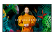 SAMSUNG QB43C 43inch UHD 16/7 350nit