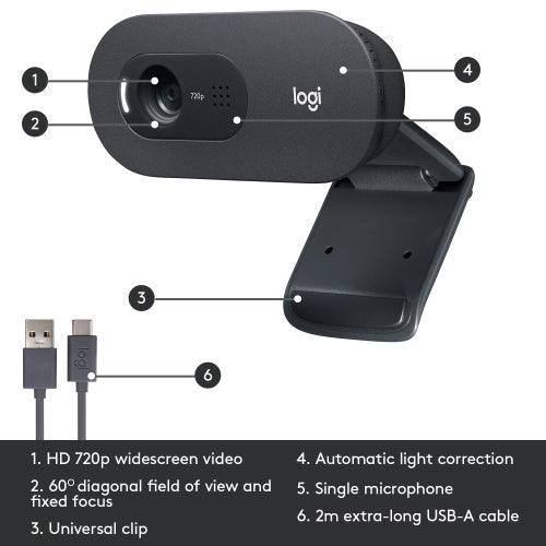 Logitech C505 HD Internetinė kamera HD 1280x720, USB, Graphite