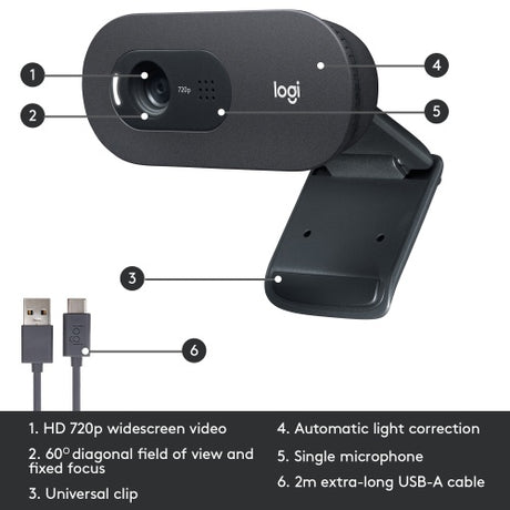 Logitech C505 HD Internetinė kamera HD 1280x720, USB, Graphite