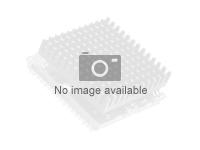 AMD Ryzen 5 7500X3D 6C/12T 4.5GHz TRAY