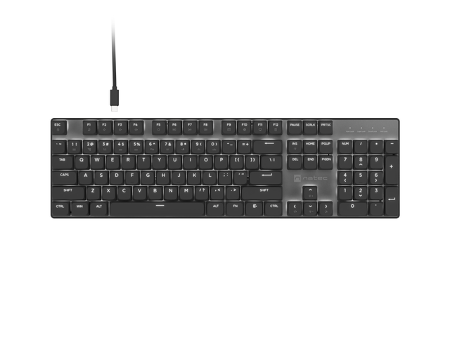 Natec Amberjack | Keyboard | Wired | US | Linear | White backlight, Hot-swappable switches, Anti-ghosting, Built-in memory, Macro recording | Black/Gray