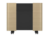 Epson Mobile A/V Cabinet | ELPCS01