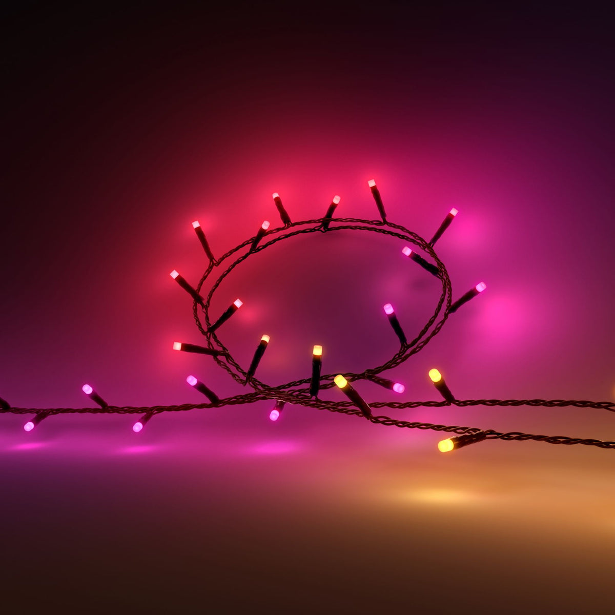 Philips Hue Festavia string lights 250 LED, 20m | 14 W | Variable