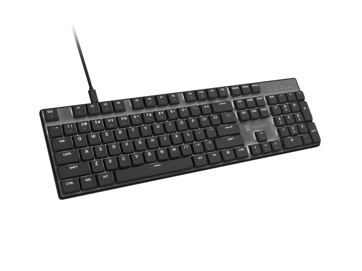 Natec Amberjack | Keyboard | Wired | US | Linear | White backlight, Hot-swappable switches, Anti-ghosting, Built-in memory, Macro recording | Black/Gray