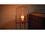 Philips Hue WCA 810 A60 2P EU | E27 | 6 W | White and colour light | Bluetooth and Zigbee