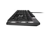 Natec Amberjack | Keyboard | Wired | US | Linear | White backlight, Hot-swappable switches, Anti-ghosting, Built-in memory, Macro recording | Black/Gray