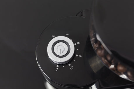 Caso | Coffee grinder | Barista Crema | 150 W | Coffee beans capacity 240 g | Number of cups 12 pc(s) | Black