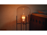 Philips Hue WCA 1100 A60 1P EU | E27 | 8.1 W | White and colour light | Bluetooth and Zigbee
