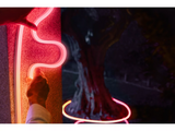 Philips Hue Neon Lightstrip for outdoor use, 10 m | 30 W | Bluetooth, Zigbee