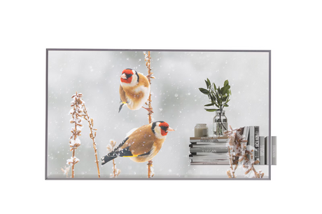 LG | Digital Signage | 55EW5P | 55 " | Landscape/Portrait | 18/7 | webOS | 8 ms | 178 ° | Transparent | 178 ° | 600 cd/m²