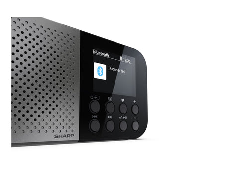 Sharp OSAKA Pocket/Handheld Portable Digital Radio | DR-P520(GY) | Bluetooth