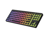 Genesis Thor 430 TKL | Gaming Keyboard | Wireless | Bluetooth | US | Linear | Black
